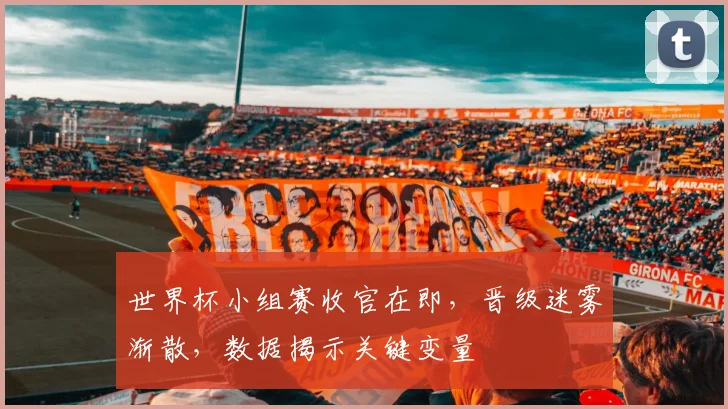 世界杯小组赛收官在即，晋级迷雾渐散，数据揭示关键变量