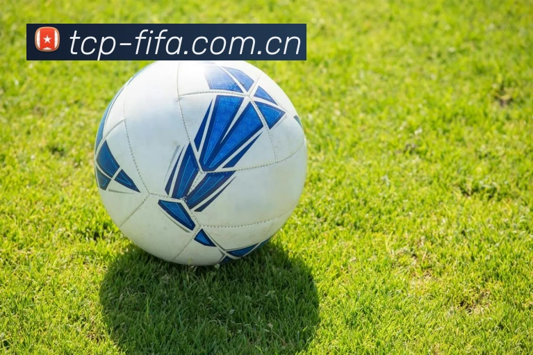 2026世界杯 APP 界面演示